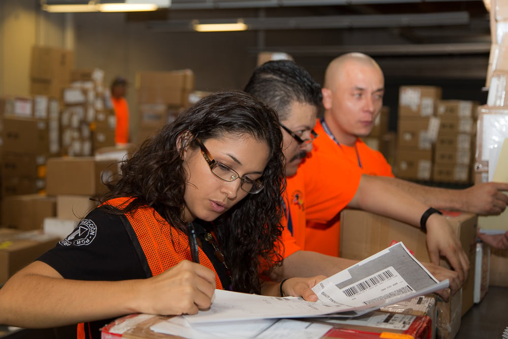 Import & Export Employees inspecting pedimentos