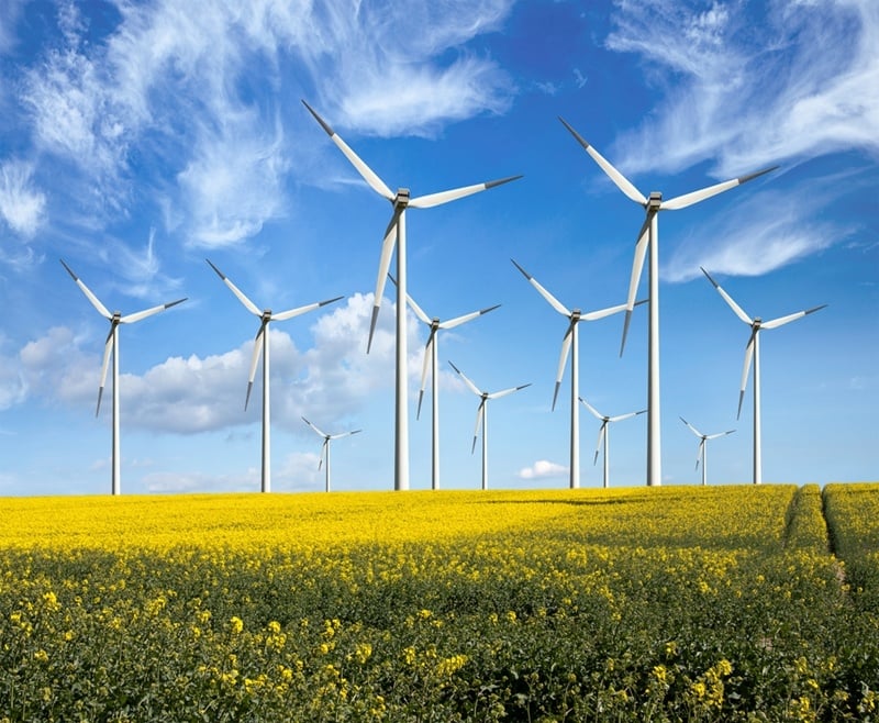 Mexico's commitment to the use of renewable energy sources caught the attention of General Motors, especially within the field of wind energy. 